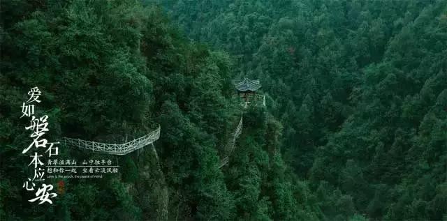 网球公开赛