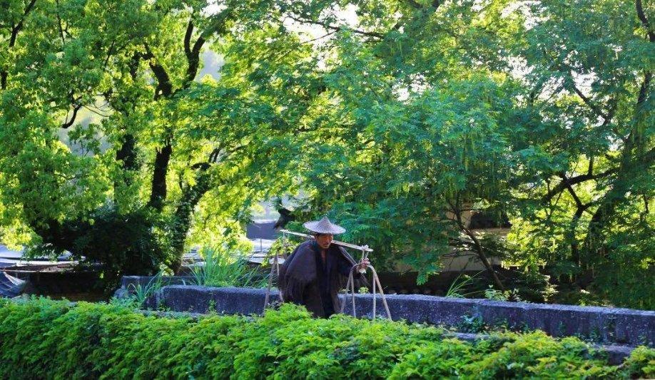 明星三缺一