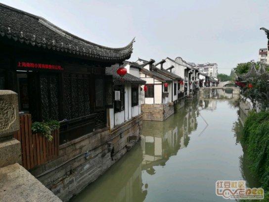 大白猫逃脱