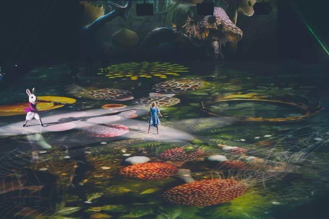 救援紫色生物